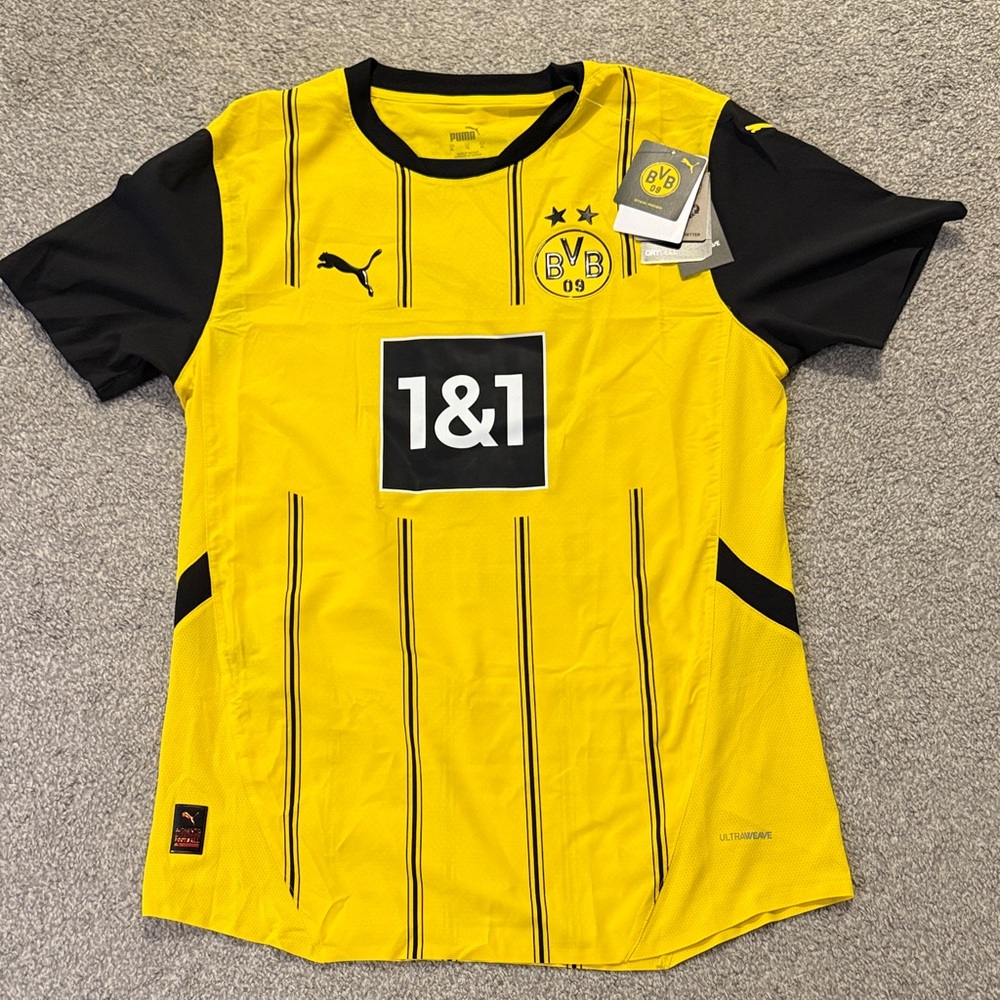 Borussia Dortmund Authentic Jersey Brandt #19